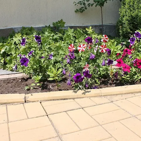 Aqua Blue * 阳光海滩